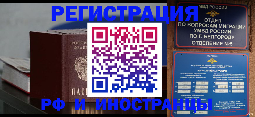 прописка 2025 в Элисте